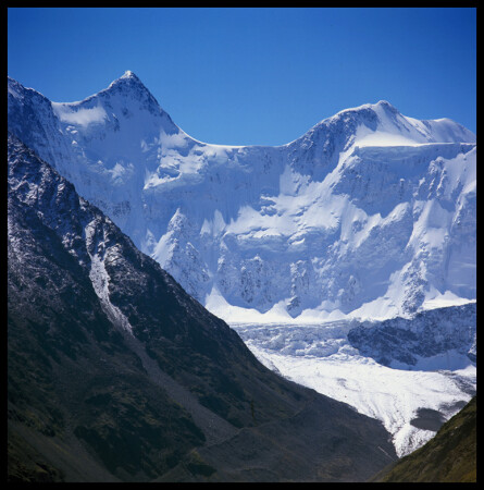Белая Красавица