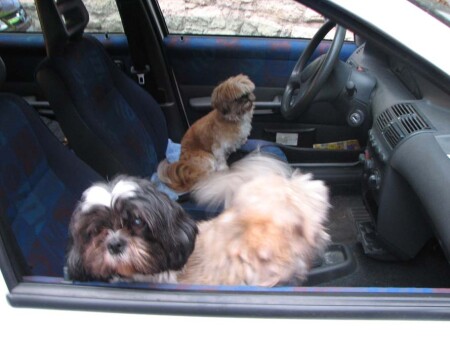 Шеф!.. Поехали!!!