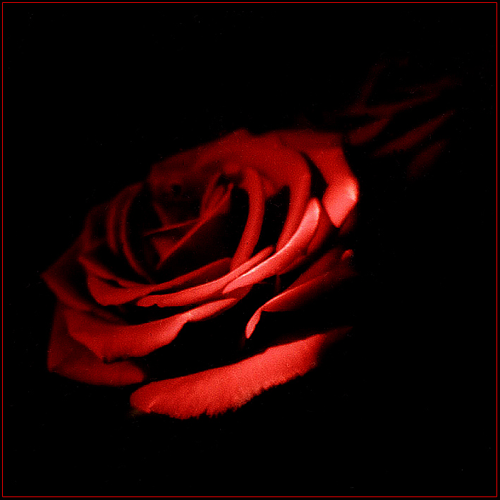 Black and... red