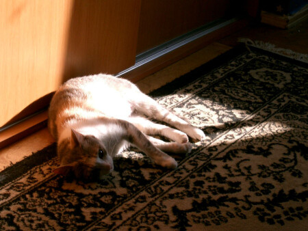 Как я загораю...