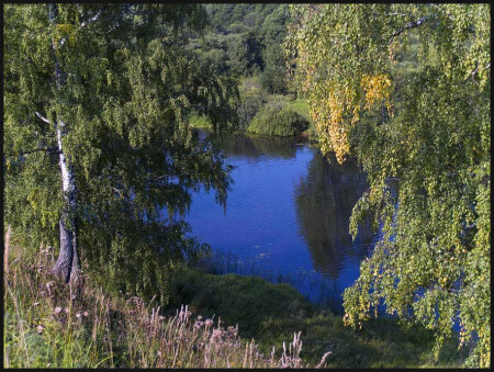 Голубой взгляд осени