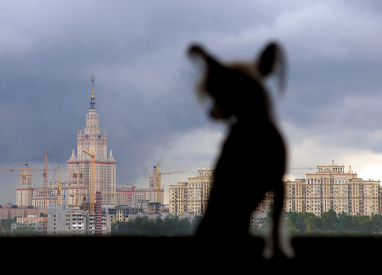 …про непопасть в фокус...