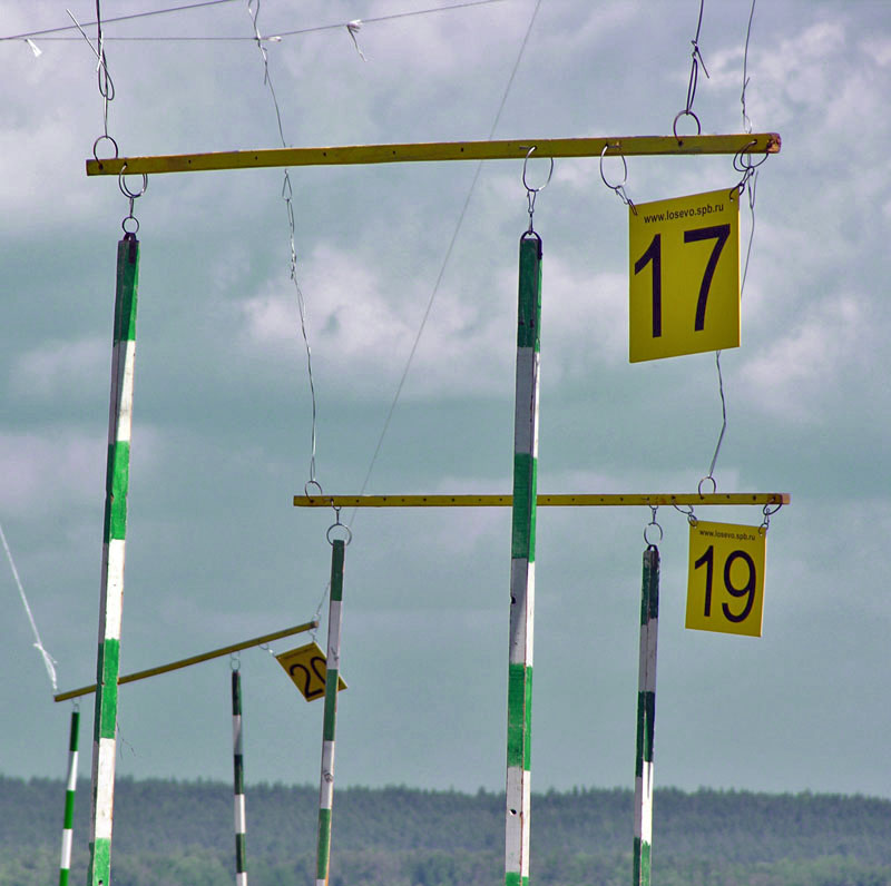 Life Checkpoint
