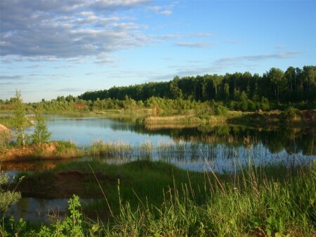 Вспоминая о лете...