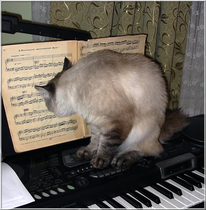 Внимательно изучая Баха...