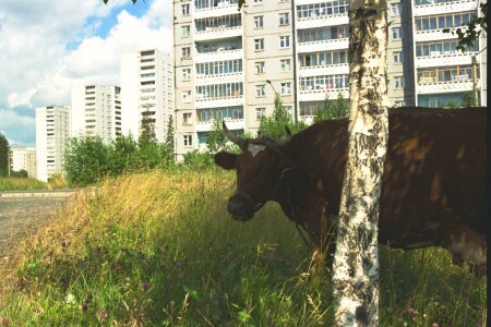 ...этапы большого пути.