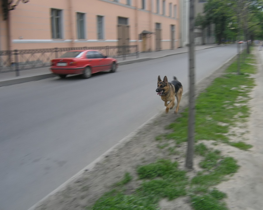 Прогулка