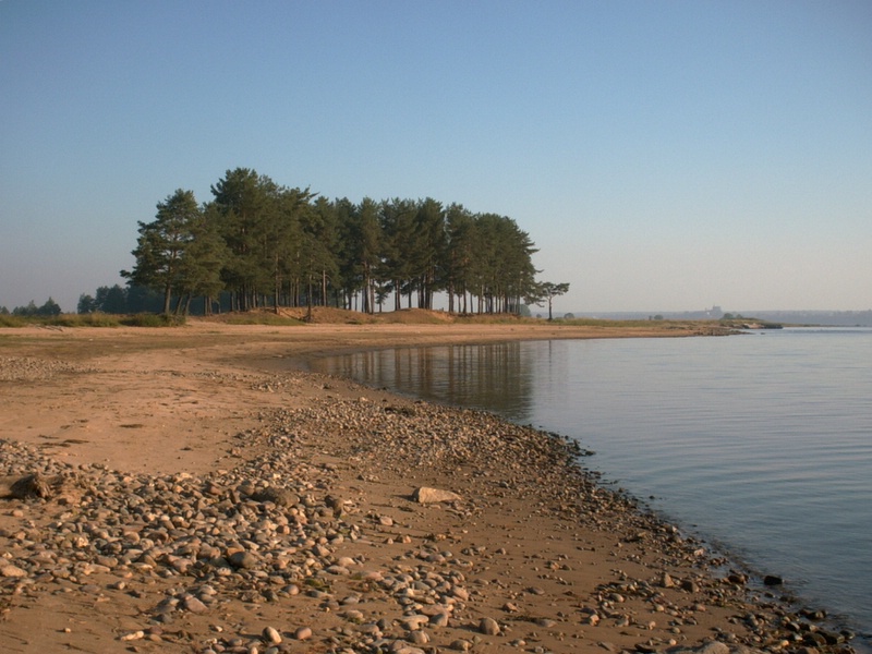 Сосенки