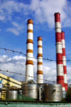 родной уголок