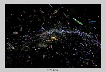 под куполом цирка