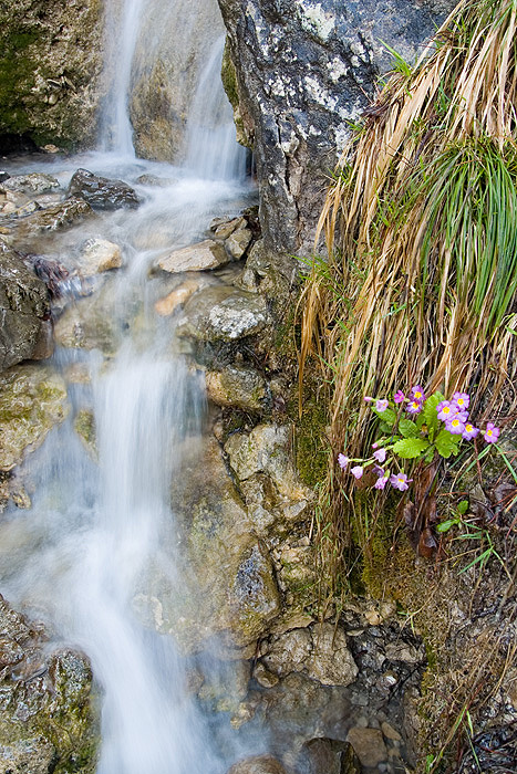 Крымские водокапы