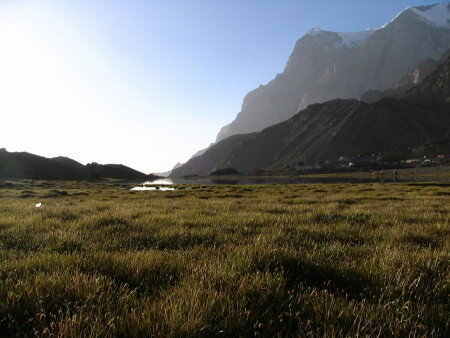 Поляна Москвина