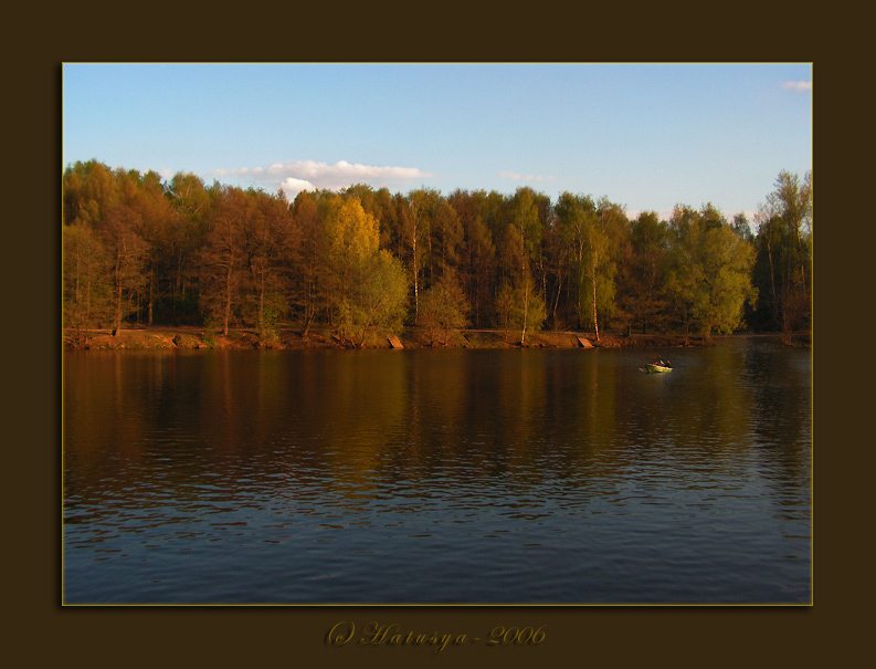 *** Золотая красавица ***
