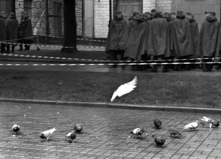 Сверхпацифисткая, очень антивоенная фотография под лозунгом "Миру-мир, война-войне", сделанная дождливым вечером в не очень трезвом состоянии