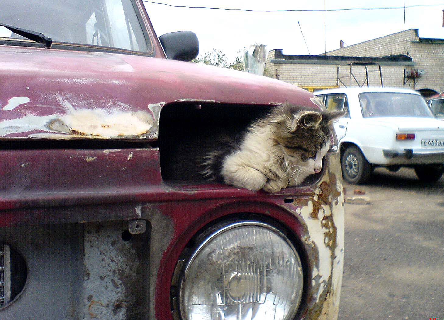 Левый поворот включен...