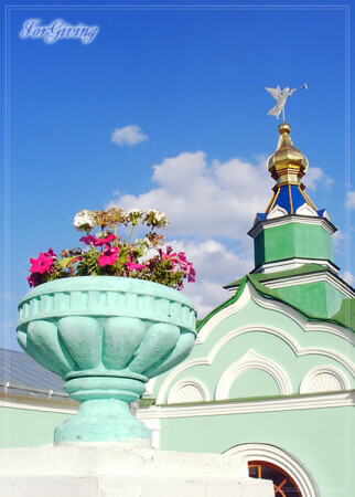 Ангельские цветы