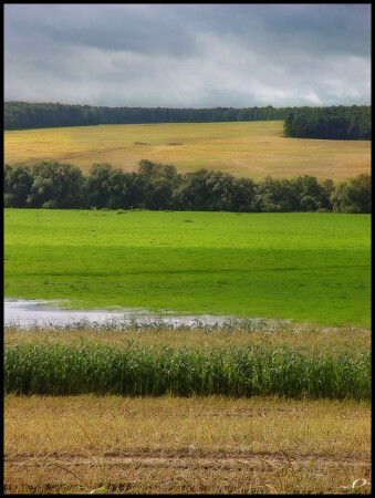 Флаг осени