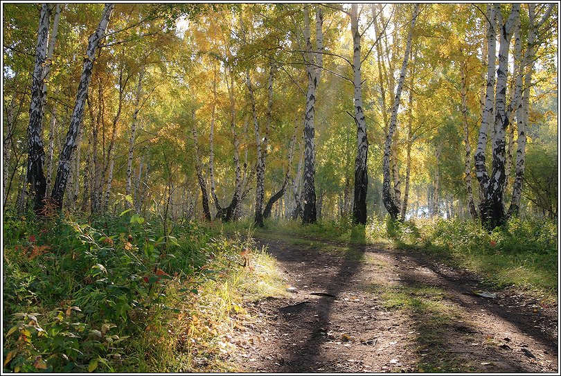 Осень 