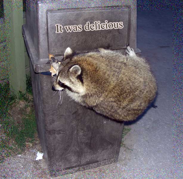 Вечерний дозор