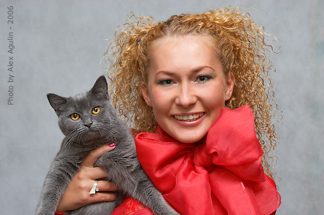 Жизнь моя ... кошачья