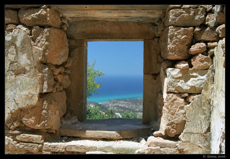 Window