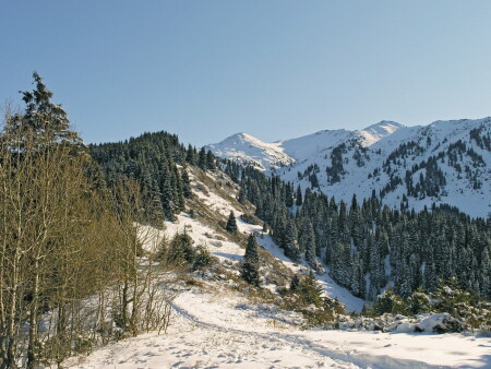 В декабре
