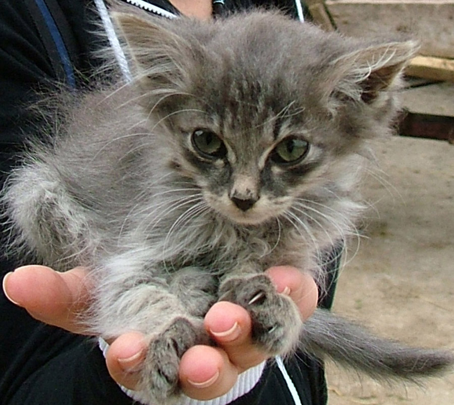 А что это вы тут делаете?