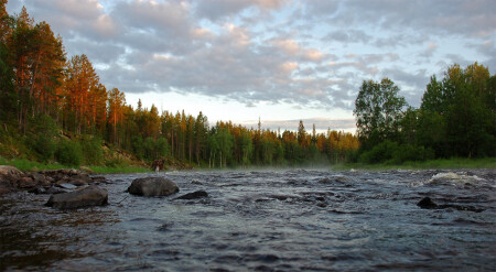 Wild River