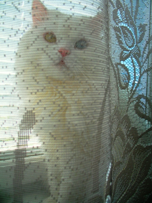 &quot;Каспер&quot;