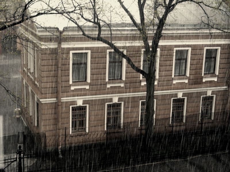 Rain