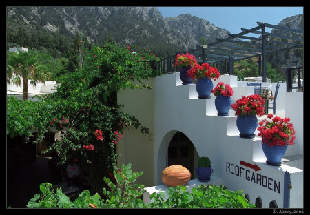 Roof Garden