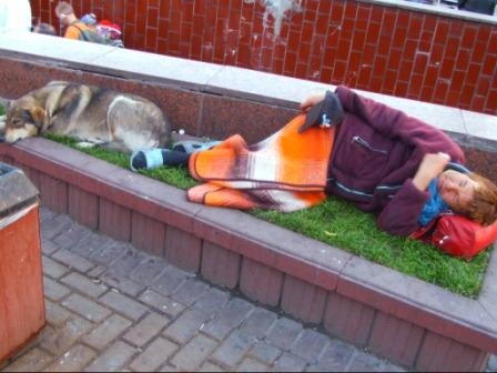 Такие разные сны...