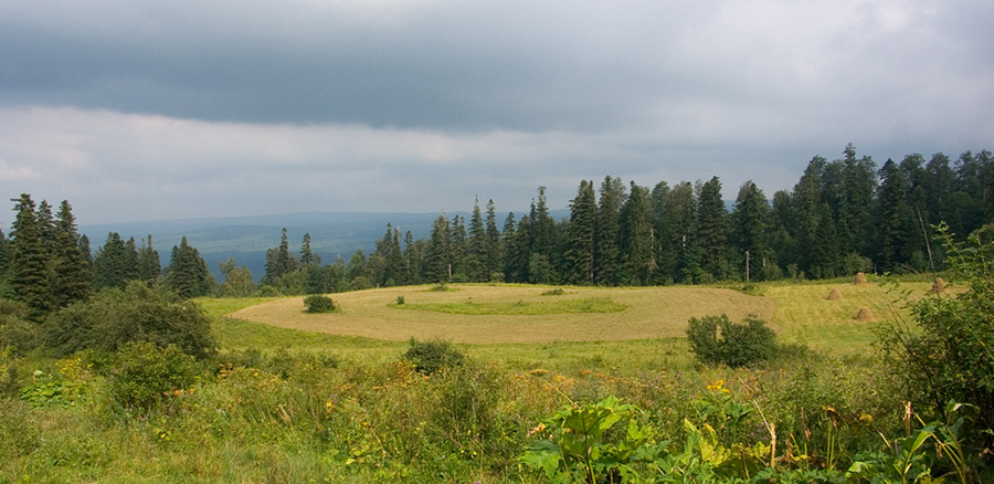 Ближе к осени