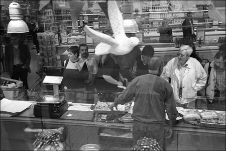 die 2 Brueder von Venlo