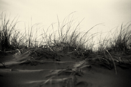 B&W, The Beach