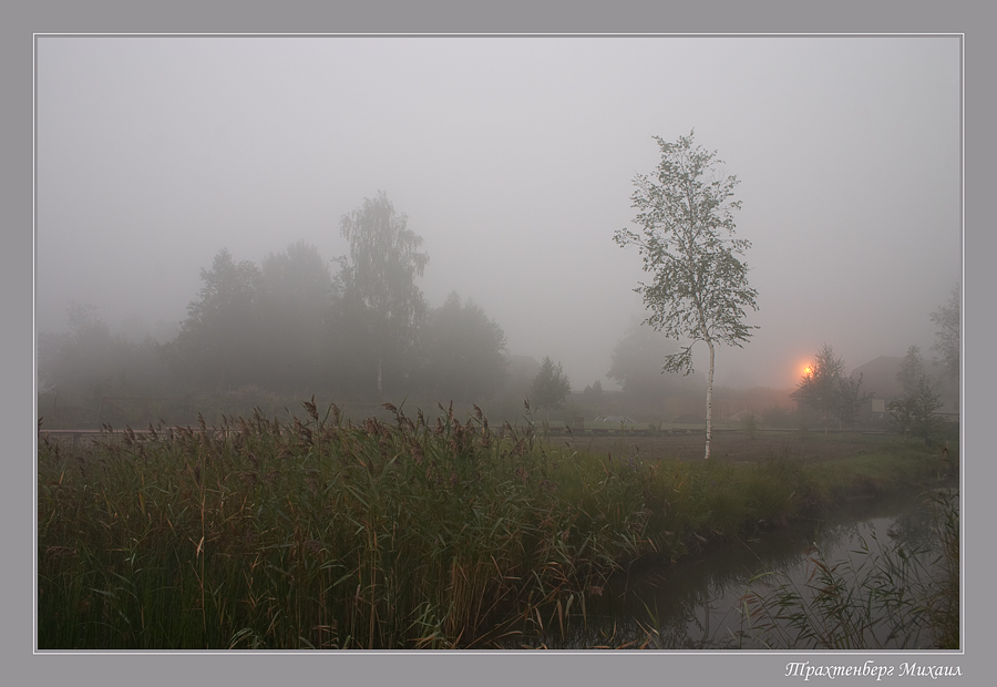 Milky morning