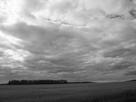 ватное небо 