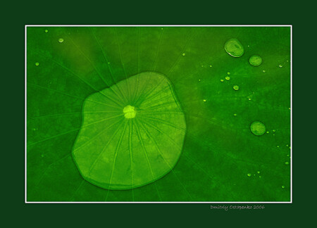 “Freedom of elements or thirst of nature”