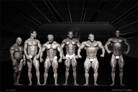 "NIGHT OF CHAMPIONS" NEW YORK