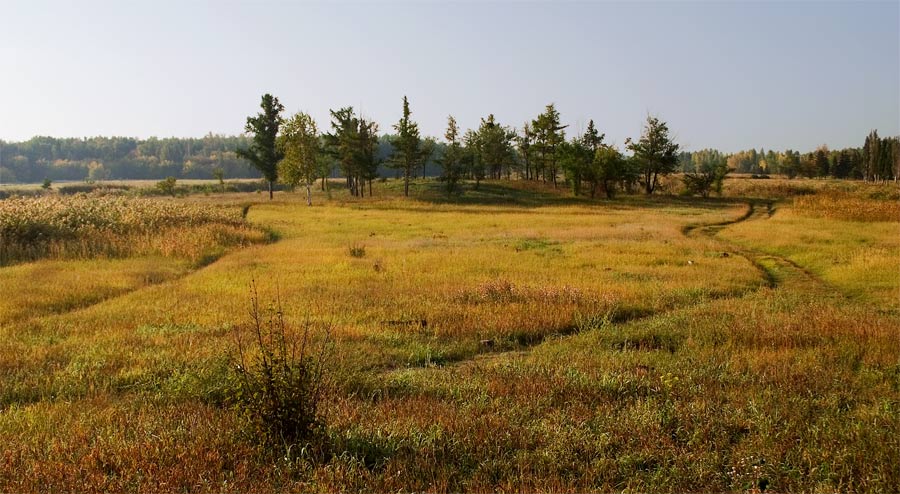 Цвета осени 1