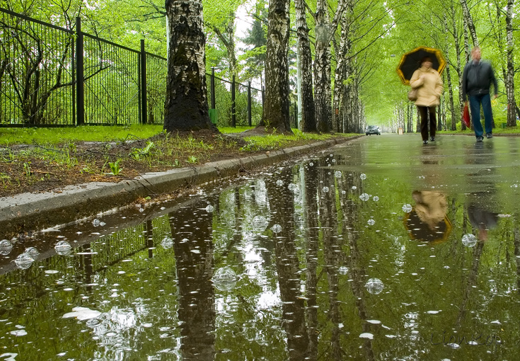 Дгуг мой, дождь.... 