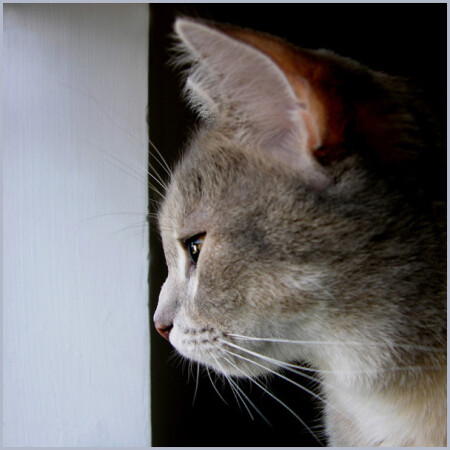 У грани миров