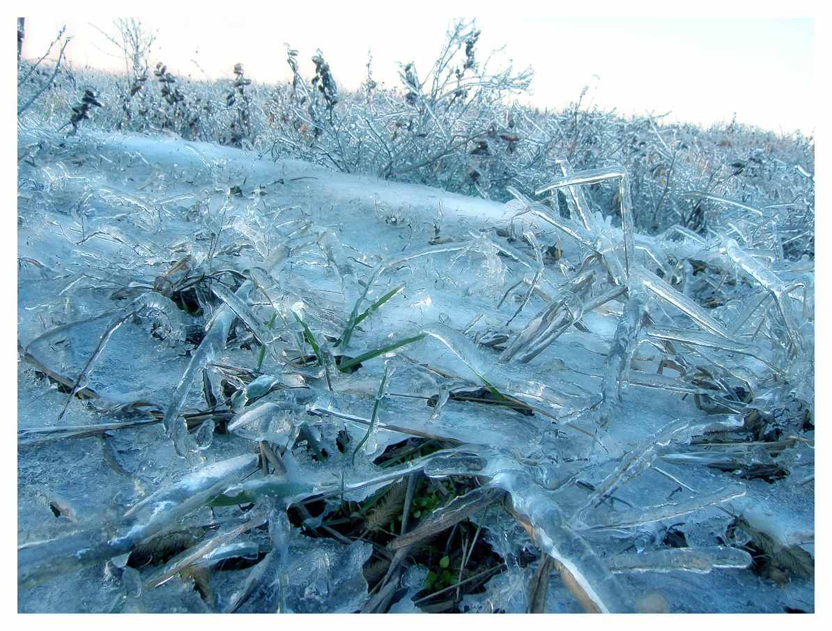 ICE