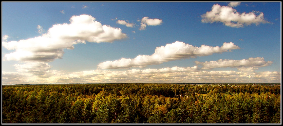panorama Kurljandskovo kotla v Latvije...