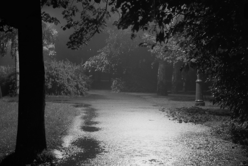 079_RAINY NIGHT