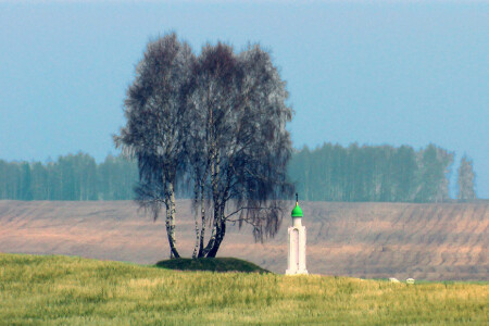 березовый островок