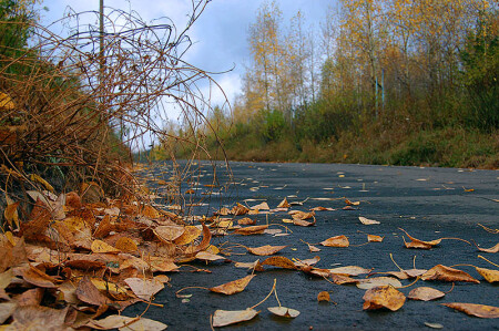 Осеннее шоссе