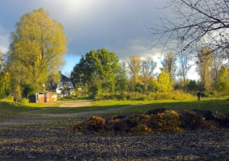 Осень однако...