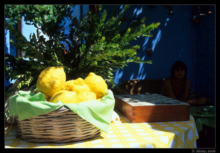 Yellows