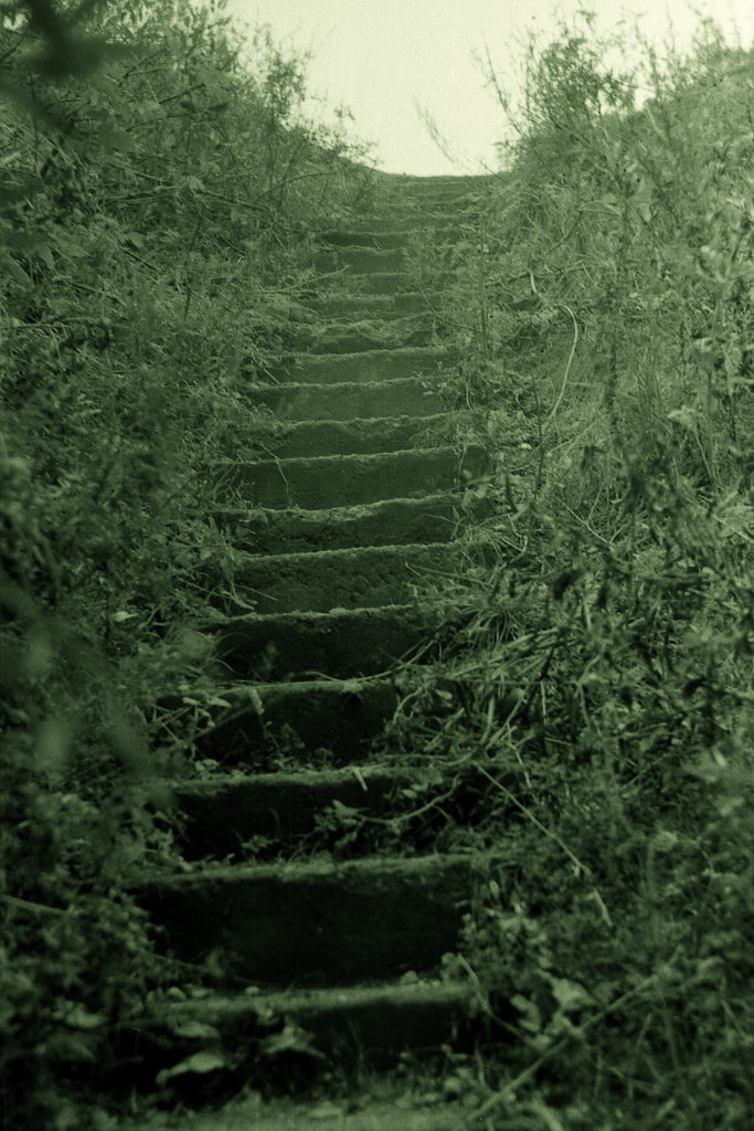 096_STAIRWAY TO HEAVEN